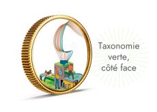 Taxonomie verte cote face 